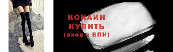 индика Верея