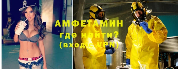 индика Верея